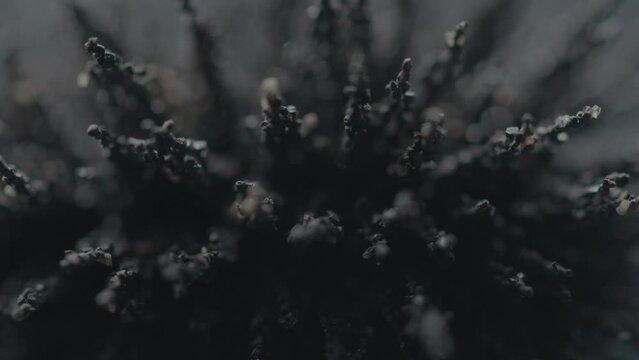 Macros of Metallic shavings and magnets