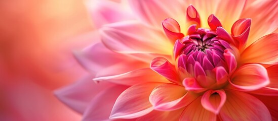 This close-up photo showcases the vibrant pink and yellow petals of a beautiful flower in full bloom. The intricate details of the blossom are highlighted, revealing its natural beauty. - Powered by Adobe