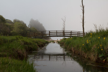 Puente con niebla