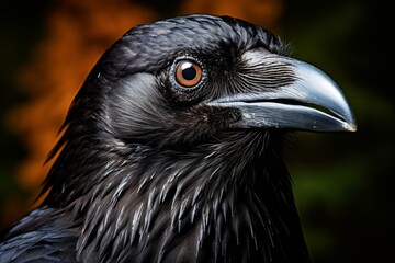 Fototapeta premium Intricate Raven closeup. Animal sky horror. Generate Ai