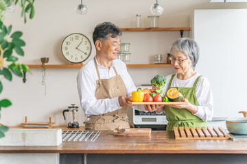 野菜を持つ日本人の高齢者夫婦（シニア老夫婦）
