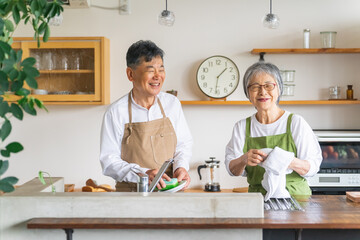 キッチンに立つ日本人の高齢者夫婦（シニア老夫婦・洗い物・家事）
