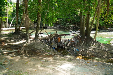 Environmental crime, garbage carelessly thrown into the nature. In the Central Park Mindu of...