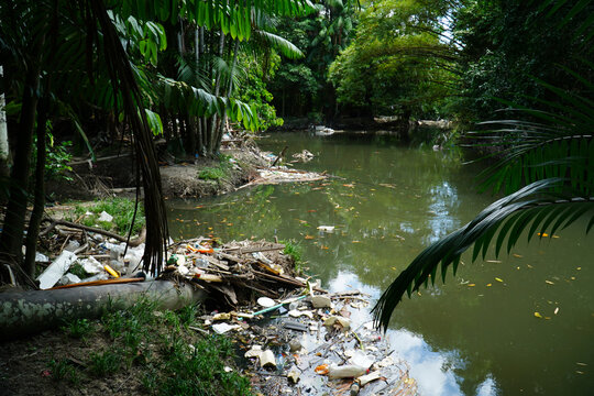 Environmental crime, garbage carelessly thrown into the nature. In the Central Park Mindu of Manaus, the city administration no longer can manage the cleanup of the public grounds. Manaus, Brazil.