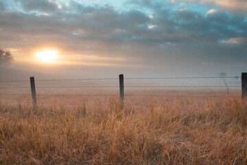 sunrise over the field