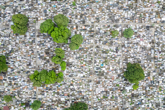 Aerial drone view of a cemetery filled with with tombstones, interspersed with small trees.