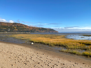 Beach shore at low tide. Sand, tall grass and green moss at the edge of a river. Bay with blue sky in the distance.