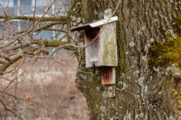 birdhouse on a tree