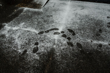 Street view in winter.