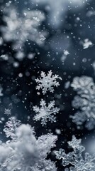 The mesmerizing patterns created by falling snowflakes