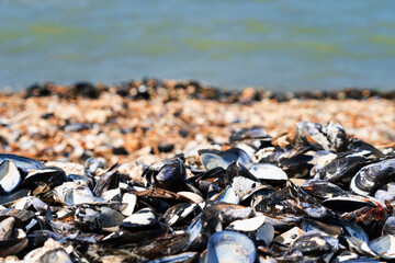 Panorama of beautiful white sand beach and blue water in Italy. Holiday summer beach background. Wave of the sea on sand beach