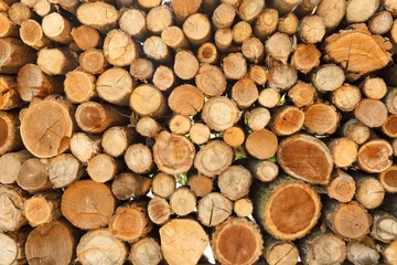 Möbelaufkleber Pile of wood logs storage for industry © biletsky