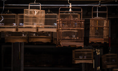Chinese traditional birdcages in market. Beijing, China