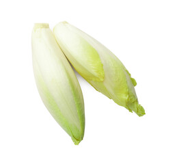 Raw ripe chicories on white background, top view