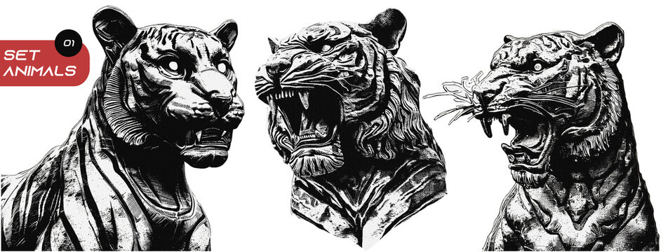 Textura de animais, Tigre, photocopy, grain, textura e elementos para design, retro, preto e branco, dots, animal png, trigre png, tiger, brutalism design elements.