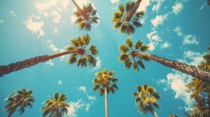 Vintage blue sky and palm trees view from below