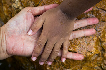 Asian Small Child hand on adult hand on rock