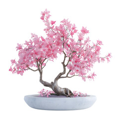 Pink bonsai isolated on white backgrounds