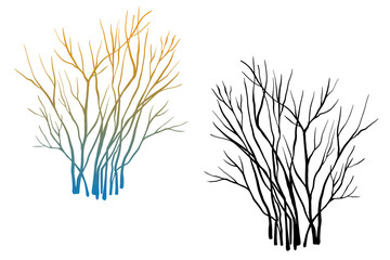 Leafless winter bush. Hand drawn colourful sketch. Line art. Black and white design element on white background. Isolated. Tattoo image. - 746203243