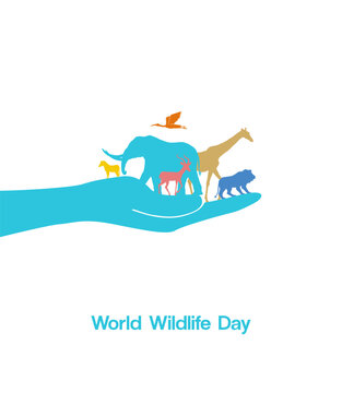 World Wildlife Day. Wildlife Day with the animal in forest. Wildlife creative design. World Habitat & wildlife day, 3rd March.