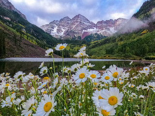 Daisies and a mountain lake on the foreground of foggy Maroon Bells mountain range Colorado sunrise