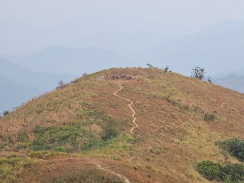 path to the mountains top in Attappadi or Attappady, Palakkad, Kerala, India. 