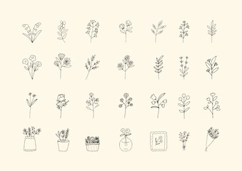 花　植物　手書き　線画　イラスト　素材　セット	
