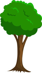 Tree Illustration