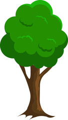 Tree Illustration