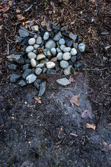 Rocks as a natural filter to keep tree and plant debris out of a storm drain in a park, cold wet winter day
