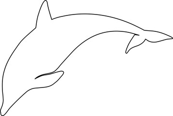 dolphin isolated