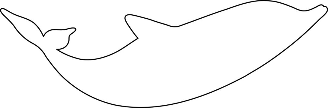 recommend clip art: dolphin isolated