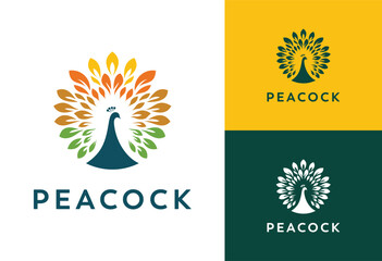 peacock logo design vector inspiration, full color peacock logo
