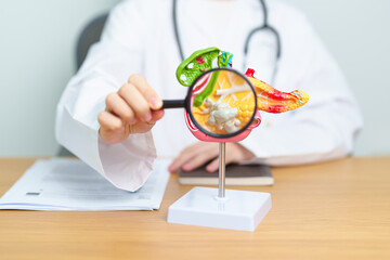Doctor with human Pancreatitis anatomy model with Pancreas, Gallbladder, Bile Duct, Duodenum, Small...
