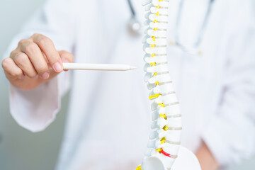Doctor with human Spine anatomy model. Spinal Cord Disorder and disease, Back pain, Lumbar, Sacral...