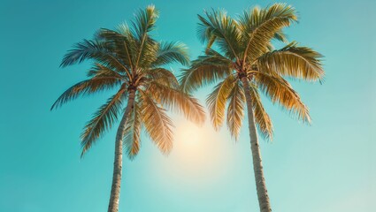 Obraz premium Palm trees on a tropical beach in sunny day