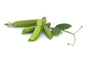 Open pea pod and round green peas inside on white