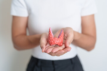 Woman holding human Thyroid anatomy model. Hyperthyroidism, Hypothyroidism, Hashimoto Thyroiditis, Thyroid Tumor and Cancer, Postpartum, Papillary Carcinoma and Health concept - obrazy, fototapety, plakaty