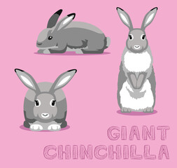 Rabbit Giant Chinchilla Cartoon Vector Illustration
