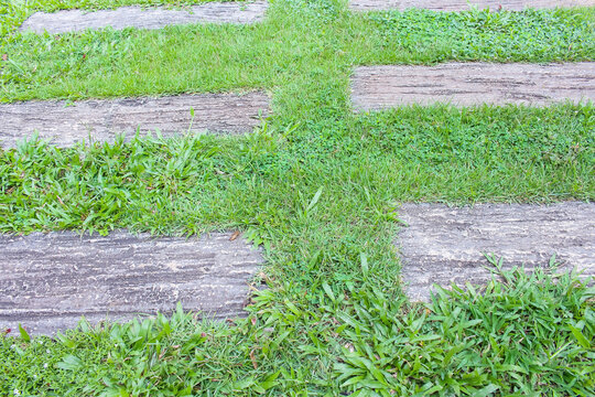 Green grass patterns between pavement garden background