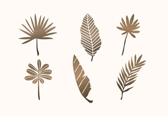 brown dry tropical leaf illustration design