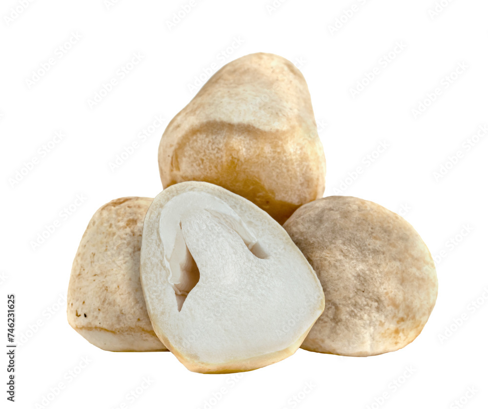 Poster straw mushroom isolated