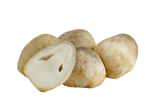 Straw mushroom isolated