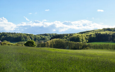 Obraz premium Rolling hills of green grass and trees on a cloudy spring evening near Rhineland Palatinate, Germany.