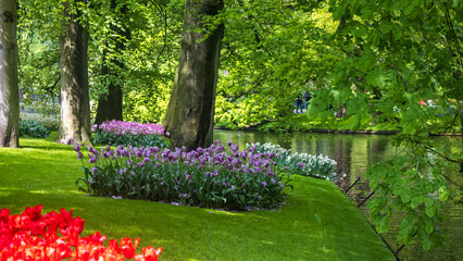Panoramic view of Scenic Keukenhof gardens in the Netherlands.