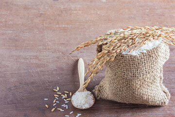 Jasmine rice in sack and paddy rice on old wooden table