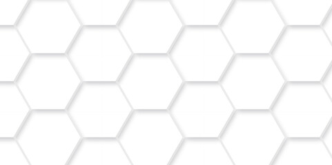 Abstract background with hexagon, modern abstract vector polygonal pattern. Futuristic abstract honeycomb technology white background. Luxury white hexagon pattern.