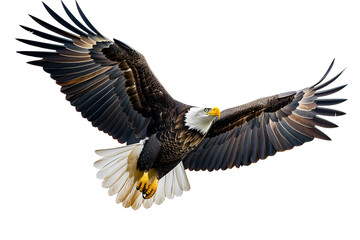 Scientific Photography: A Majestic Eagle in Flight, Generative AI