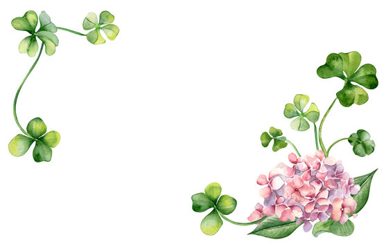 Banner with pink hydrangea and clover watercolor illustration isolated on white. Painted colorful flowers Easter card. Hand drawn Irish symbol. Design for St.Patricks day, springtime frame, package