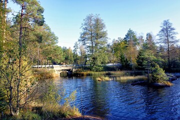 landscape with a lake